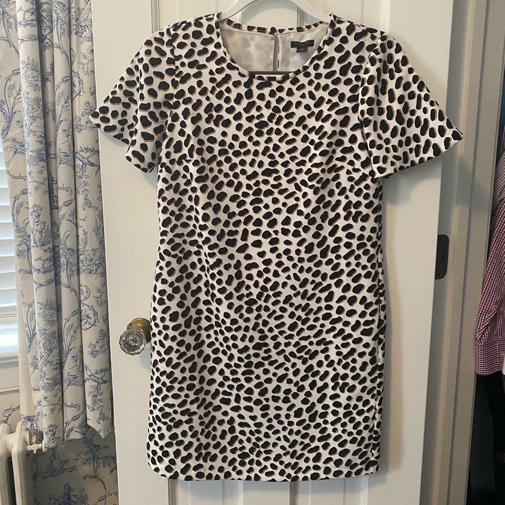 Ann Taylor cheetah print dress